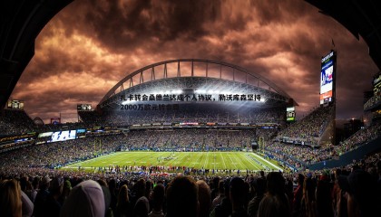 JJB竞技宝-扎卡转会桑德兰达成个人协议，勒沃库森坚持2000万欧元转会费