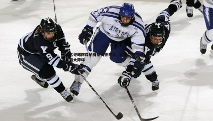 JJB竞技宝-名记曝阿森纳有意罗德里戈，周薪25万镑成最大障碍