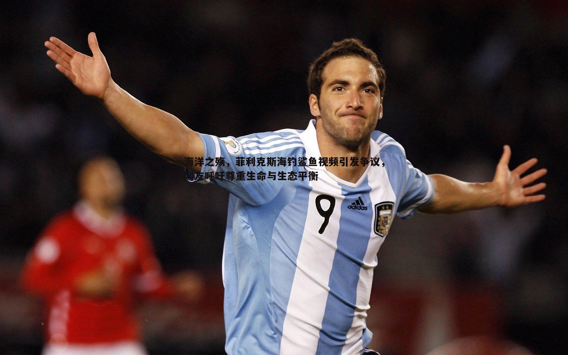 海洋之殇,菲利克斯海钓鲨鱼视频引发争议,网友呼吁尊重生命与生态平衡