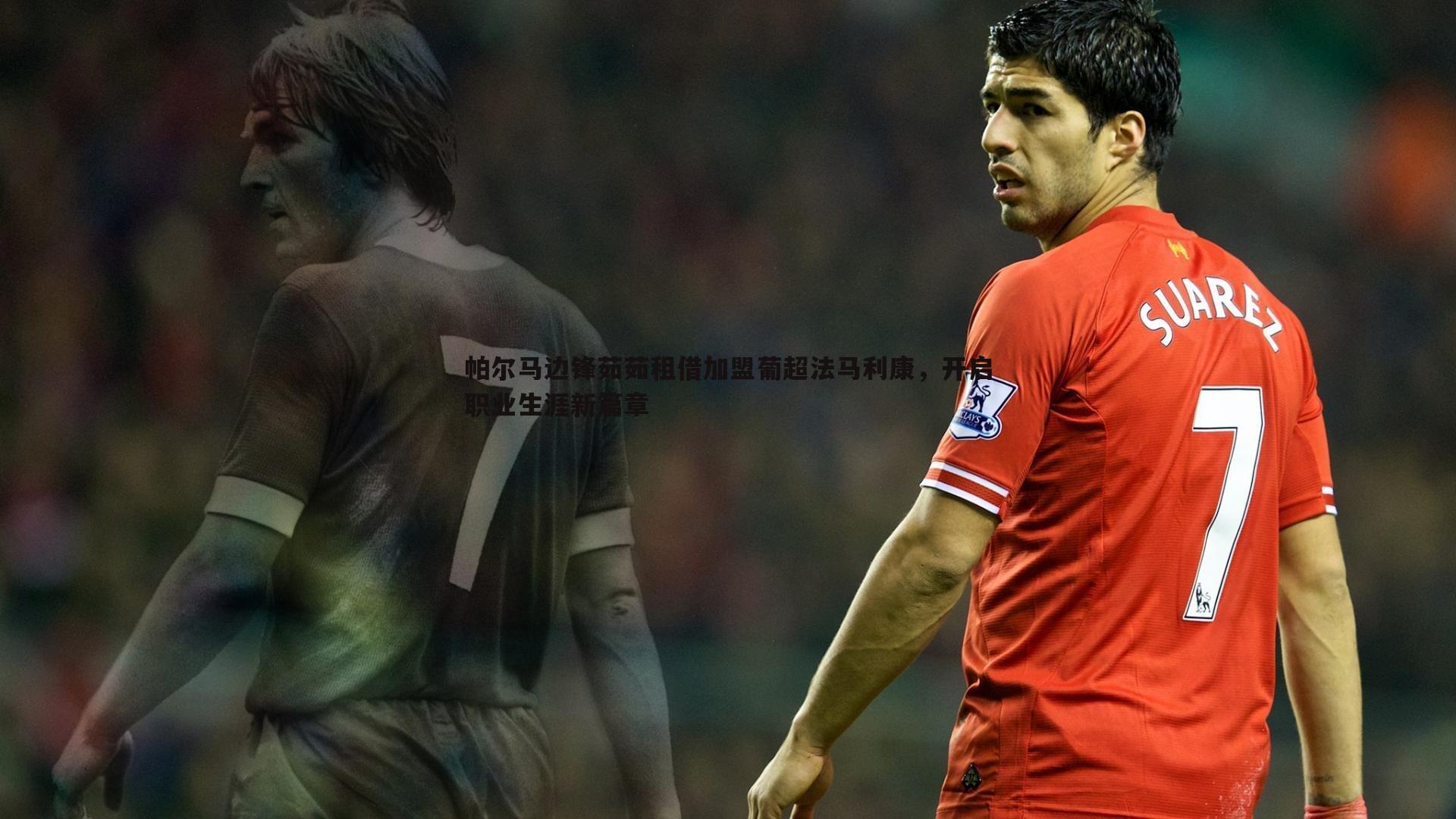 帕尔马边锋茹茹租借加盟葡超法马利康,开启职业生涯新篇章